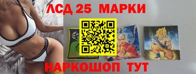 прущие крисы Моздок