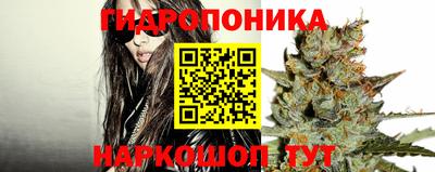 прущие крисы Моздок