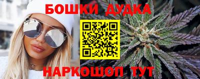 прущие крисы Моздок