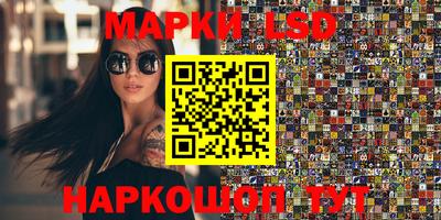 прущие крисы Моздок