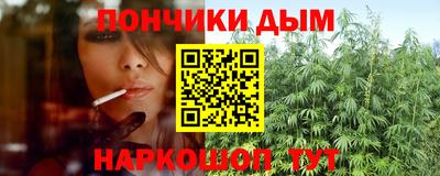 прущие крисы Моздок