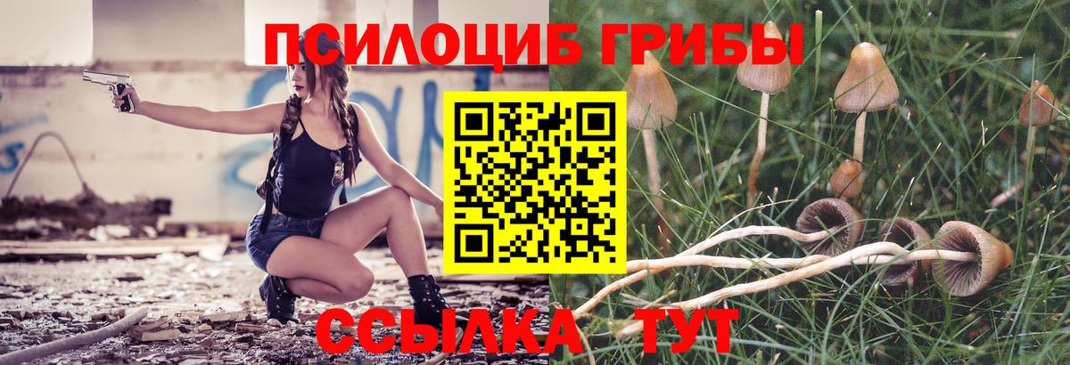 Галлюциногенные грибы GOLDEN TEACHER  Псилоцибиновые грибы мицелий  Вход с VPN  Елизово 